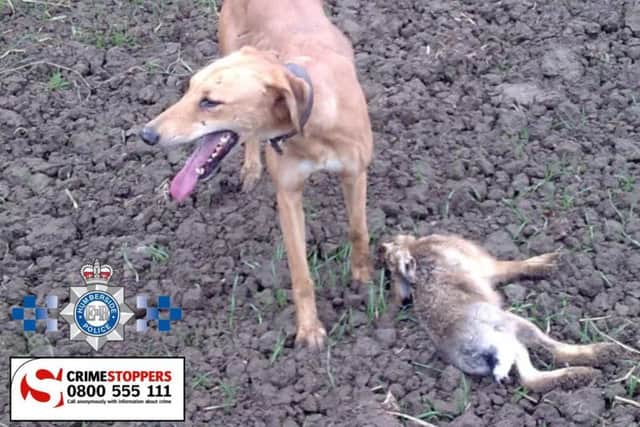 Eleven men accused of hare coursing near Bridlington appeared at Beverley Magistrates' Court on Wednesday (March 16).