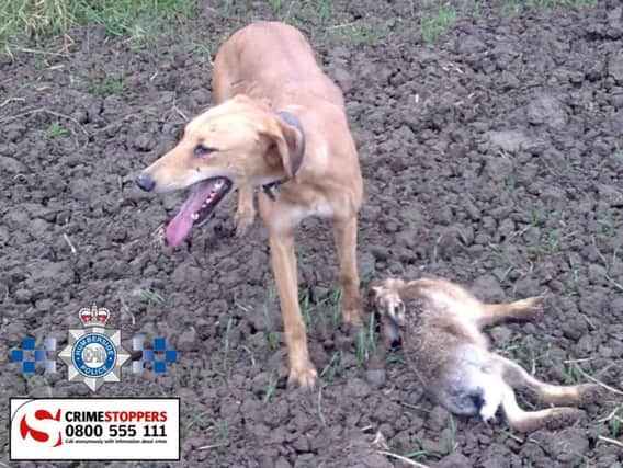 Eleven men accused of hare coursing near Bridlington appeared at Beverley Magistrates' Court on Wednesday (March 16).