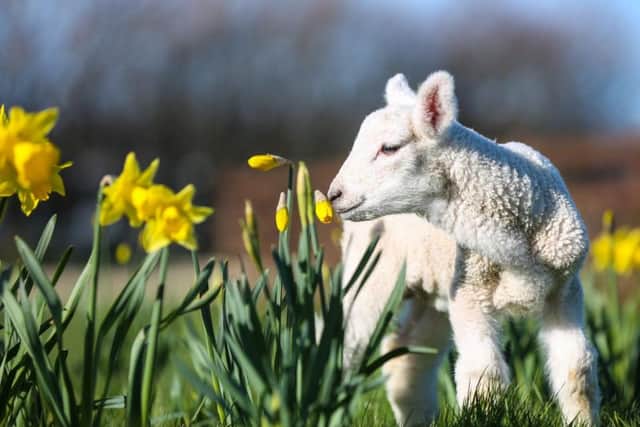 Whitby Wildlife Sanctuary, pictures: Ceri Oakes