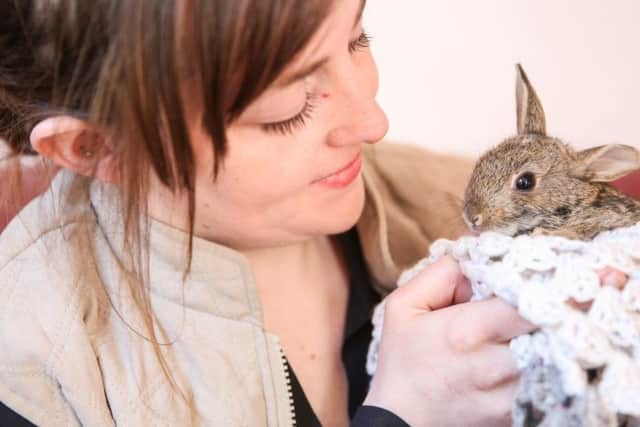 Whitby Wildlife Sanctuary, pictures: Ceri Oakes