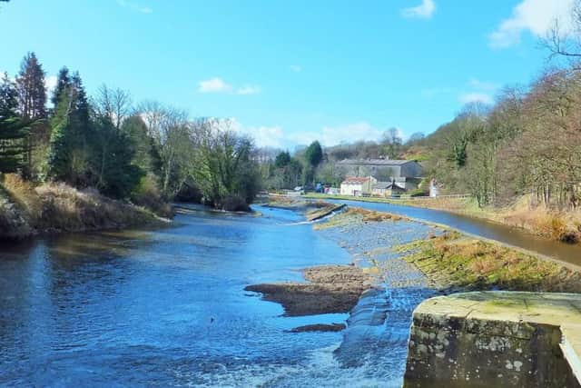 The weir at Ruswarp.