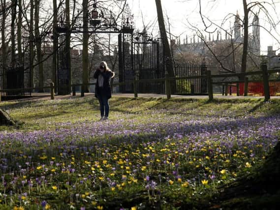 Yorkshire is set for a spell of mild weather this week.