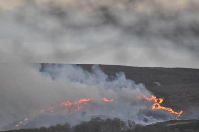 Fire spreads behind caravan park. Photo by Barry Lowe