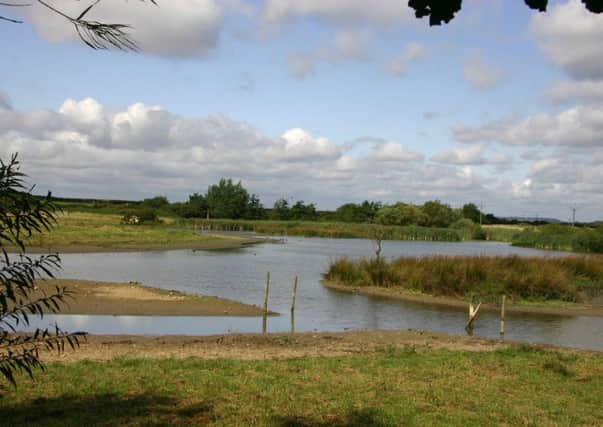 A visit to Filey Dams Nature Reserve reaped its rewards.