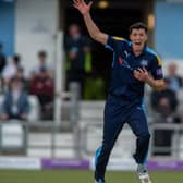 Yorkshire Vikings slipped to defeat at Worcestershire on Friday.