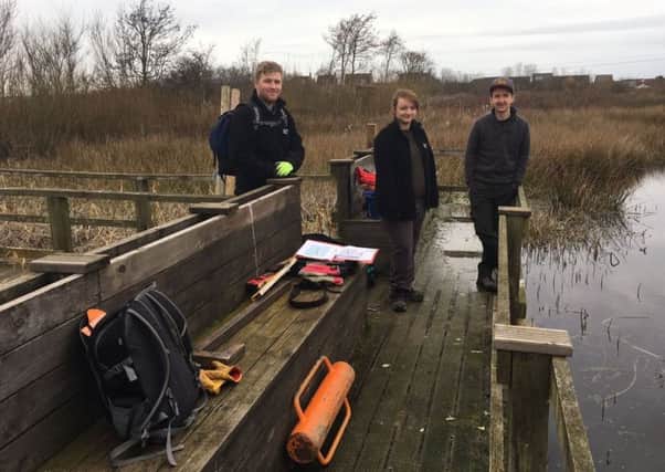 The pond-dipping platform at Filey Dams Nature Reserve.