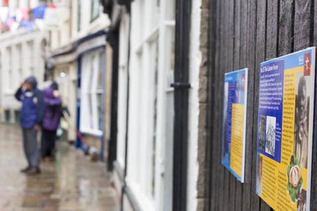 The exhibit takes the form of boards along the lane. Picture: Scott Wicking.