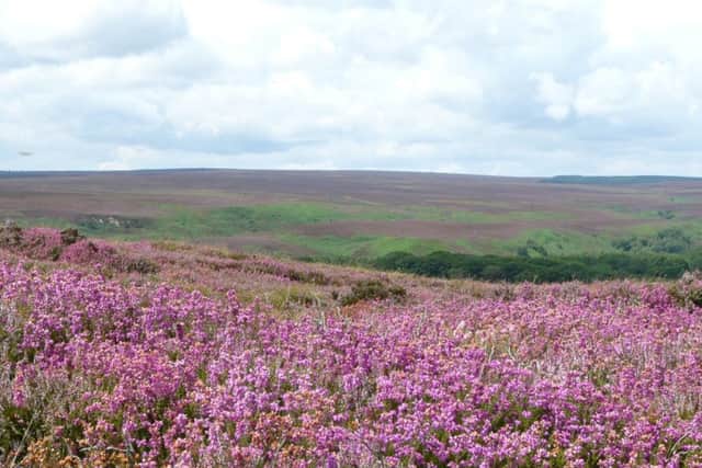 Fylingdales Moor at Jugger Howe