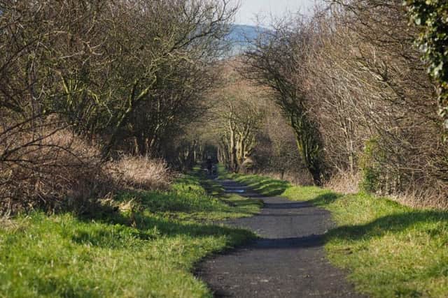 The Cinder Track