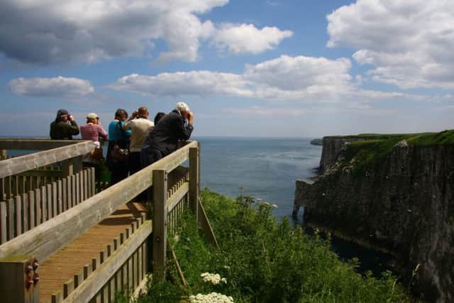 Reviews from TripAdvisor saw RSPB Bempton rated as one of the UKs top natural attractions.