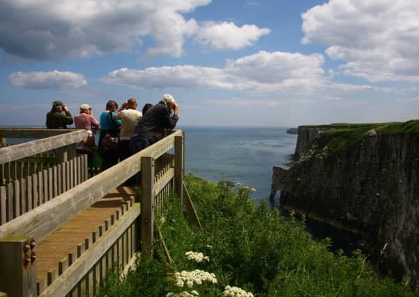 Reviews from TripAdvisor saw RSPB Bempton rated as one of the UKs top natural attractions.