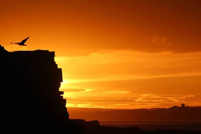 Patricia Morris took this fantastic image of Filey Brigg bathed in an orange sunset