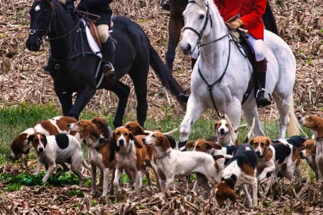 Fox hunting with dogs has been illegal since the Hunting Act 2004 was passed.
