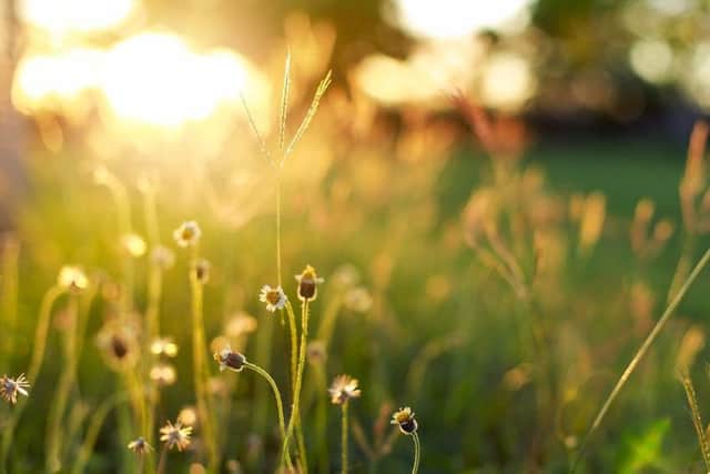 The summer is about to make a comeback in Yorkshire