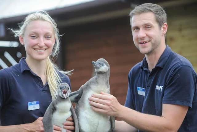 Amy and Todd with Barnacle and Hazel