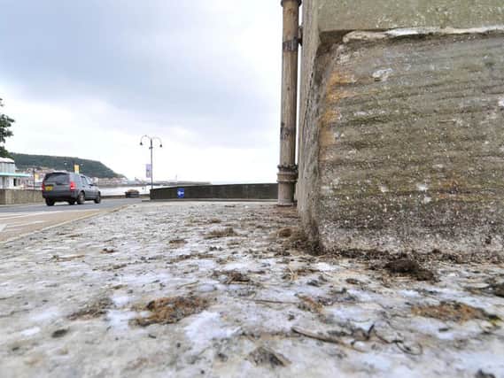 Seagull mess near the Spa bridge.