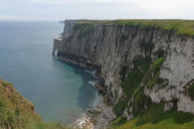 This wonderful photograph of Bempton Cliffs was taken by Tracey Roberts.