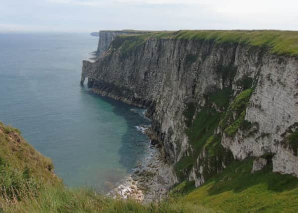 This wonderful photograph of Bempton Cliffs was taken by Tracey Roberts.