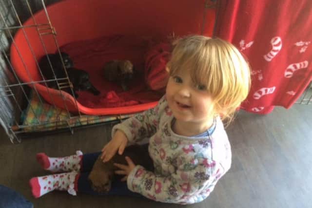 Penny Young who sadly died aged 2.