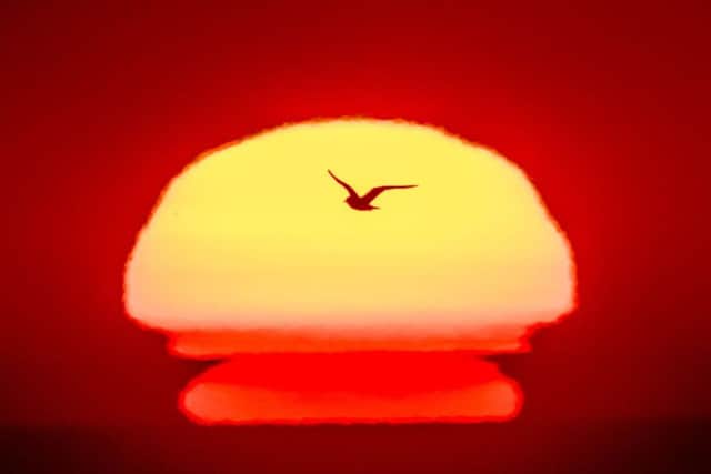 A sea bird flies past the rising sun near the RSPB nature reserve at Bempton Cliffs in Yorkshire. But the weather will turn nasty in the coming days with thunderstorms predicted. Picture: Danny Lawson/PA Wire