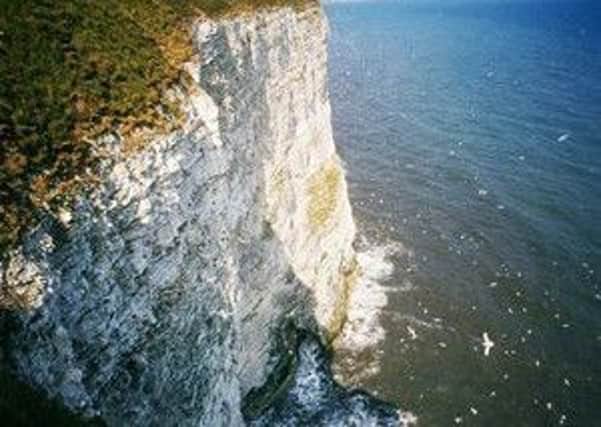 RSPB Bempton Cliffs.