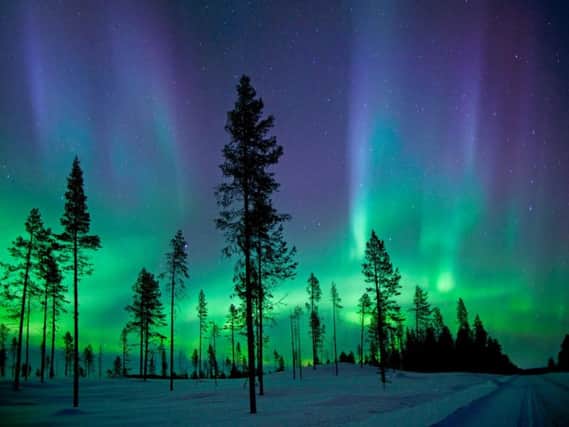 The Northern Lights