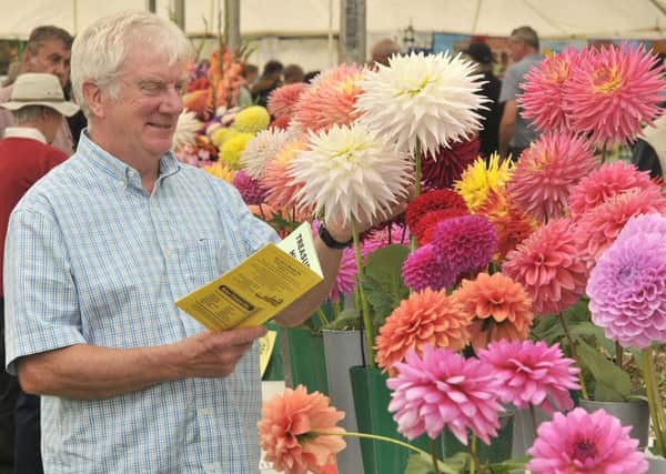 Danby show 2017.Colin Adamson enjoys looking at the flowers . pic richard ponter 174016h
