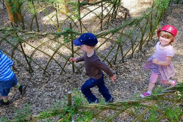Dalby Forest is an ideal spot for youngsters to play and enjoy the great outdoors.