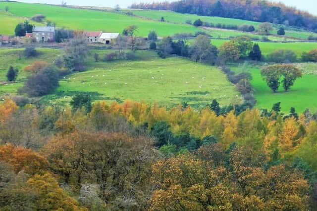 Across Egton Banks to Lodge Hill.
