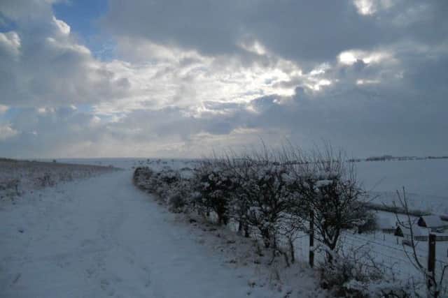 Snow in Scarborough. Picture by Humble Bee Farm/@humblebeefarm.