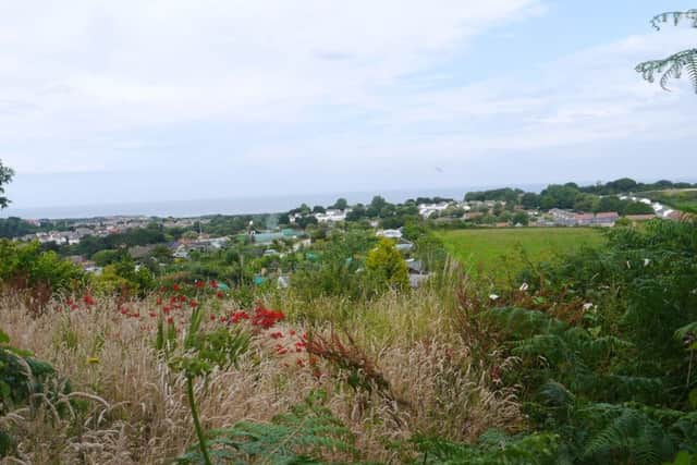 View across Sandybed allotments and town, from track leading to Harland Mount Nature Reserve.