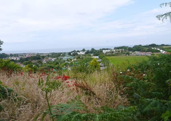 View across Sandybed allotments and town, from track leading to Harland Mount Nature Reserve.