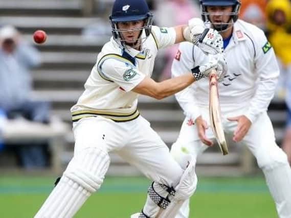 Kane Williamson in action for Yorkshire