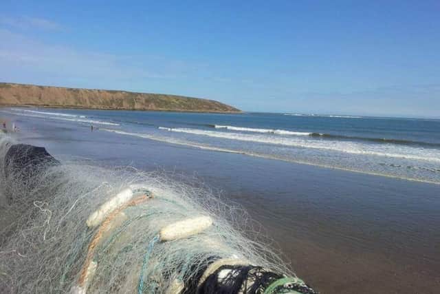 Julia Hey took this excellent photograph while attending the Filey Music Festival.