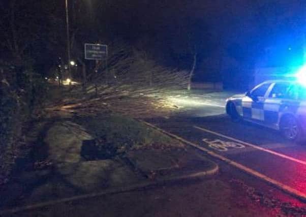 Humber Roads Police tweeted this picture of a fallen tree this morning