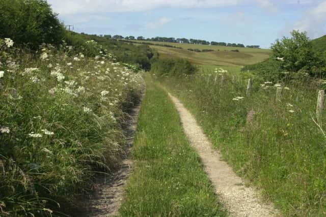 Track leading down to Cans Dale.