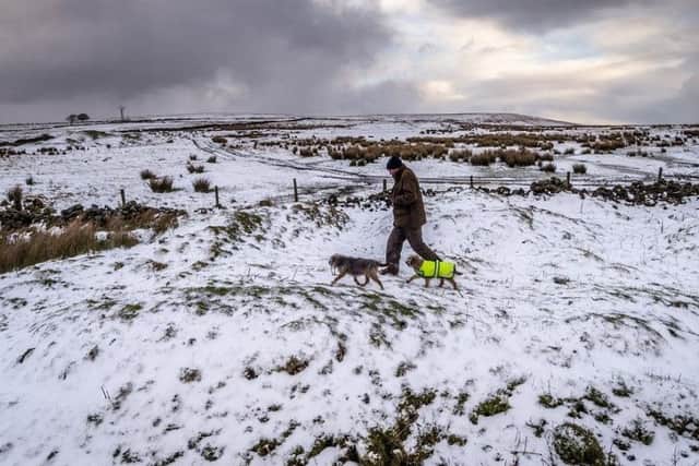 Kevan Mason, of Greenhow, walks his dogs across a snow cover field at Greenhow, near Pateley Bridge, North Yorkshire. Picture James Hardisty.