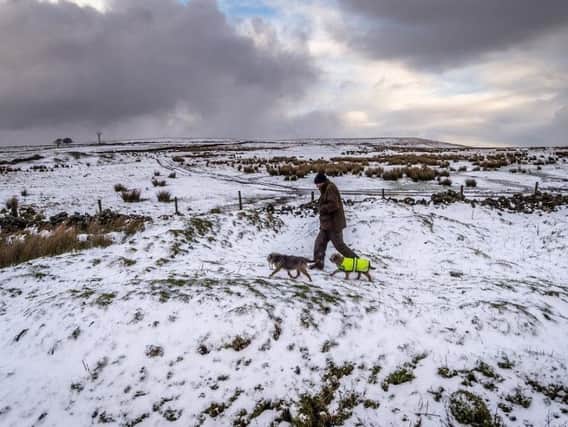 Kevan Mason, of Greenhow, walks his dogs across a snow cover field at Greenhow, near Pateley Bridge, North Yorkshire. Picture James Hardisty.