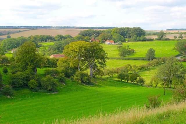 Nunburnholme Wold looking across Great Dug Dale.