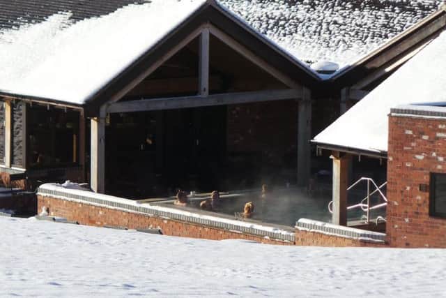 The outdoor vitality pool