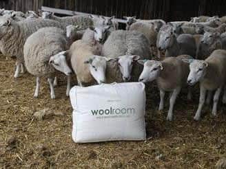 The Woolroom