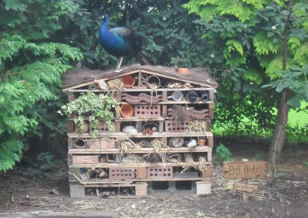 Bug hotel building will be a new activity for the wildlife club.