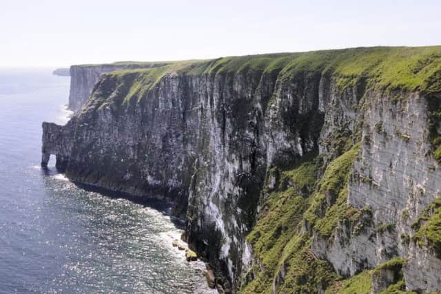 A man's body was found near Bempton Cliffs