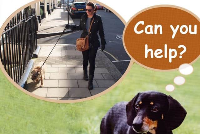 The trust is appealing for volunteers to walk dogs in the Bridlington area.