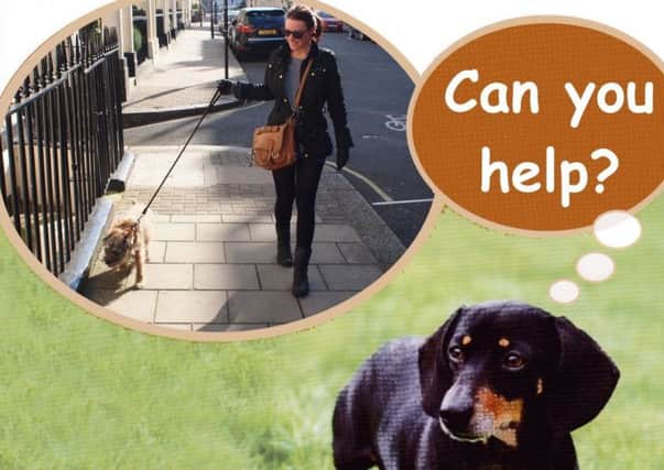 The trust is appealing for volunteers to walk dogs in the Bridlington area.