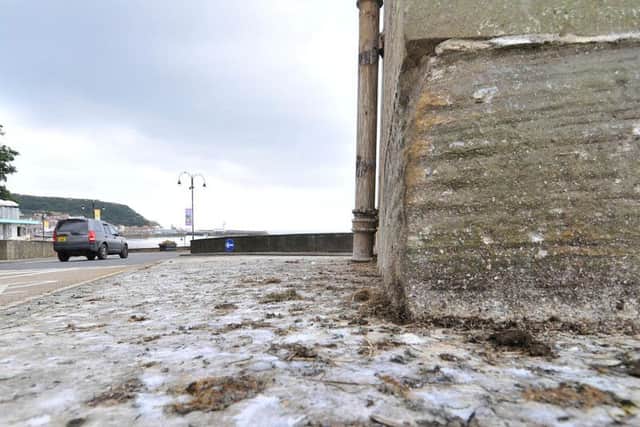Gull mess below the Spa footbridge.