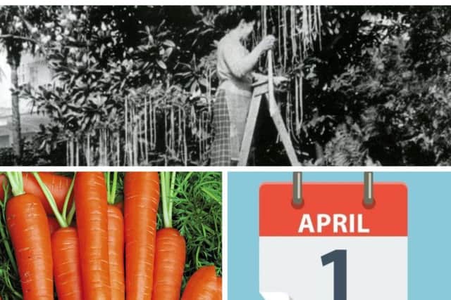 Today is April Fools Day... but what does it mean and why do we do it?