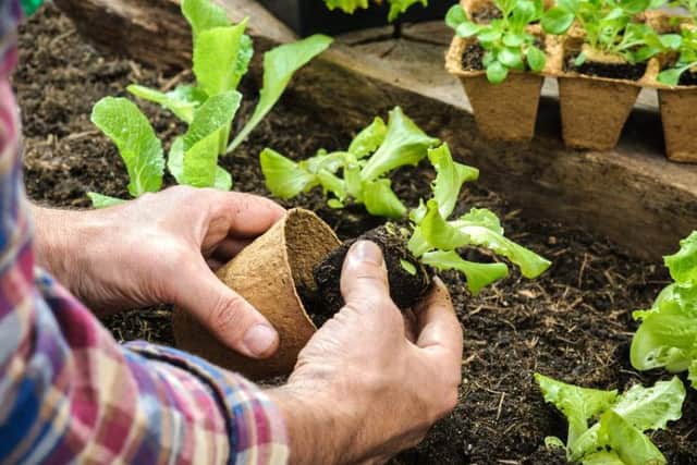 There are a wealth of hands-on jobs on offer around Yorkshire to get stuck into