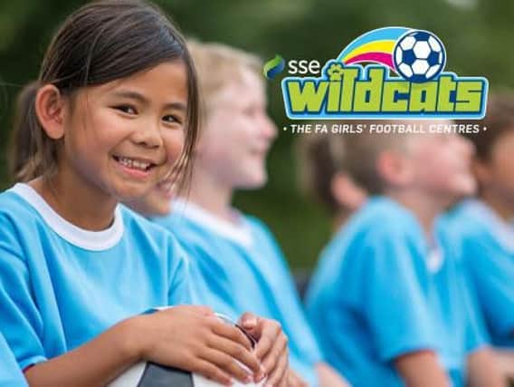 SSE Wildcats sessions are heading to Scarborough