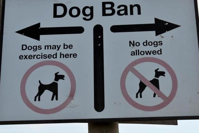 The beach dog ban returns next month.